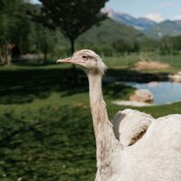 71 - laufrunde-woerschach-enns-2 © Christoph Lukas (2025-06).jpg