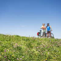 Elberadweg beim Stover Strand Camping