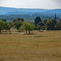 Blick Richtung Schöllbronn