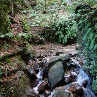 kleine Wasserfälle in der Kaltenbachklamm