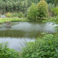 Angelegter Weiher am Naturschwimmbad Otterberg