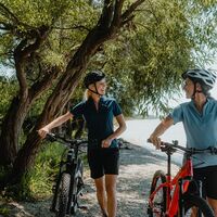 Radfahrerin an der Donau Linzer Riviera