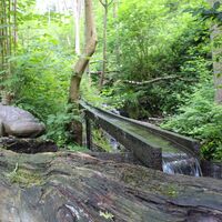 Kneippweg