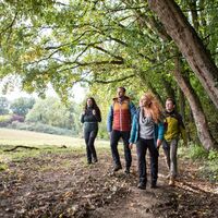 Wanderer auf dem Rundwanderweg "Rund um Dalem"