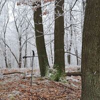 Am Gochelberggipfelplateau