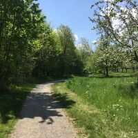 Weg Seefelder Aach