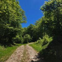 Weg in Richtung La Cotière