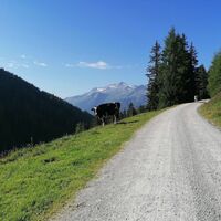 Im Nadernachtal