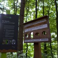 Spechtinfo - Familien- und Naturerlebnispfad Grasburg