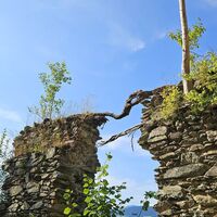 Burgmauer