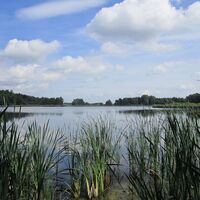 NSG Burgteich