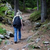 Weg Burgen