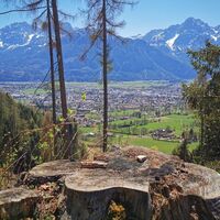 Vogelerlebnisweg Aussicht auf Lienz