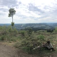 Big Panorama am Rabenhügel