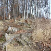 Aufstieg am Adolf-Müller-Weg