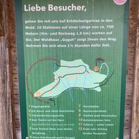Schautafel Erlebnispfad Lärchenwald