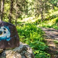auch für Kinder immer wieder lustig bemalte Steine