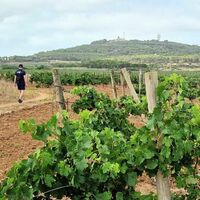 Wanderung im Domaine de Maraval