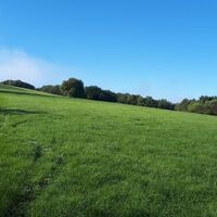 Höhenweg-Verlauf kurz hinter Meisenheim