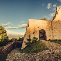 Burgruine Leofels