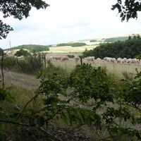 Zwischen Höringen und Hinkelstein