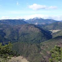 Schneebergblick