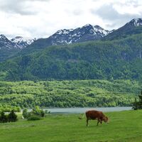 Bohinjer See