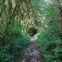 Weg zum Mont de Cordon