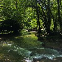 Die Schluchten vonThurignin