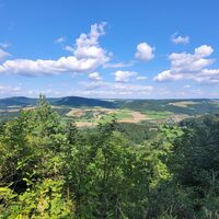 Ausblick