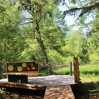 Informationen über den Torfabbau am Moorpfad Pfronten