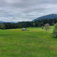 Gschwend Wiesen