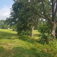 Weg zum Rabenwaldkogel in der Oststeiermark