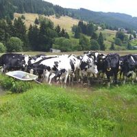 Manebacher Wand 2
