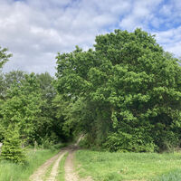 Federbruchmoor-Rundweg