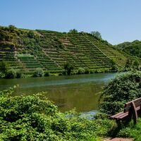 Radweg am Neckar
