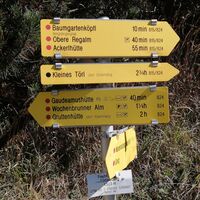 Wegweiser Baum kurz vor dem Gipfelkreuz