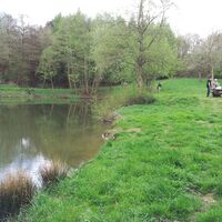 Waldsee