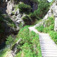 Stege entlang des Weges