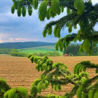 Firstenweg bei Crottendorf mit Blick Richtung Crottendorf