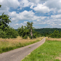 Streuobstwiesen und ein wunderbarer Fernblick