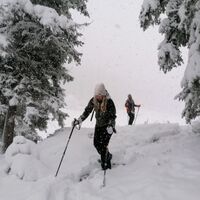Wlldschönau Schönanger Schneeschuh.jpg
