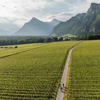 E-Biken in der Bündner Herrschaft