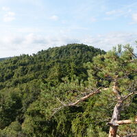 auf der Hirschwand