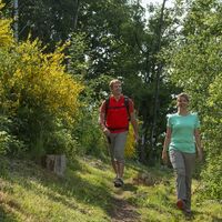 Unterwegs auf der Traumschleife Der Hochwälder