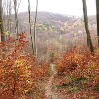 Abstieg zur Lourdesgrotte
