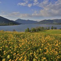 Blick von Kaltenbrunn auf den Tegernsee