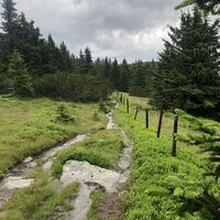 Tauchen - Hochwechsel