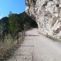 Pregasina