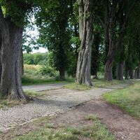 Der Singplatzweg